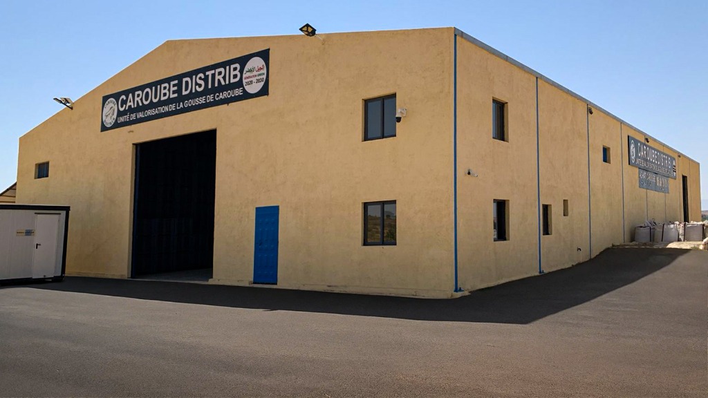 وحدة المعالجة