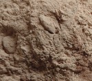 Light carob flour