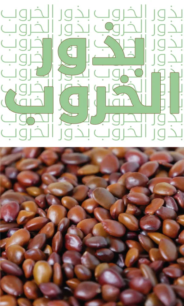 بذور الخروب